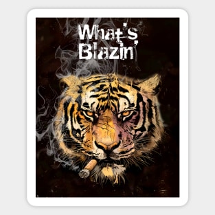 Cigar Smoking Tiger: An Intense Cigar Smoking Tiger "What's Blazin'" Magnet